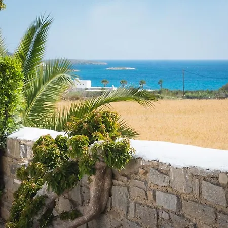 Navi B3 Brand New In Νάουσα